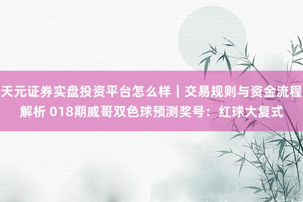 天元证券实盘投资平台怎么样｜交易规则与资金流程解析 018期威哥双色球预测奖号：红球大复式