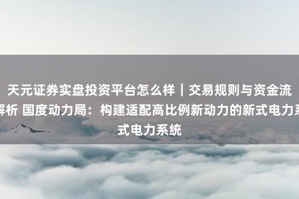 天元证券实盘投资平台怎么样｜交易规则与资金流程解析 国度动力局：构建适配高比例新动力的新式电力系统