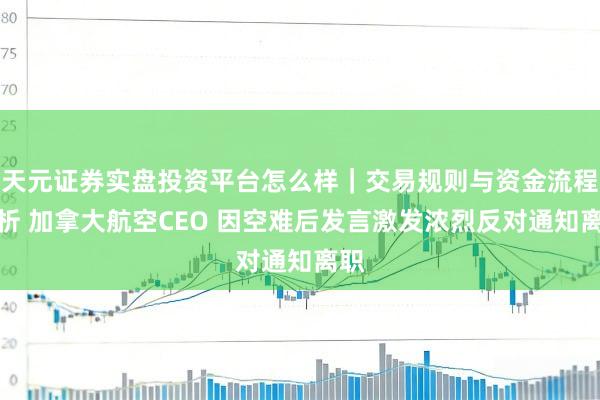 天元证券实盘投资平台怎么样｜交易规则与资金流程解析 加拿大航空CEO 因空难后发言激发浓烈反对通知离职